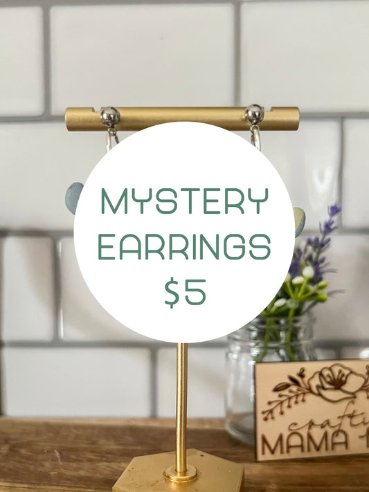 $5 Mystery Earrings