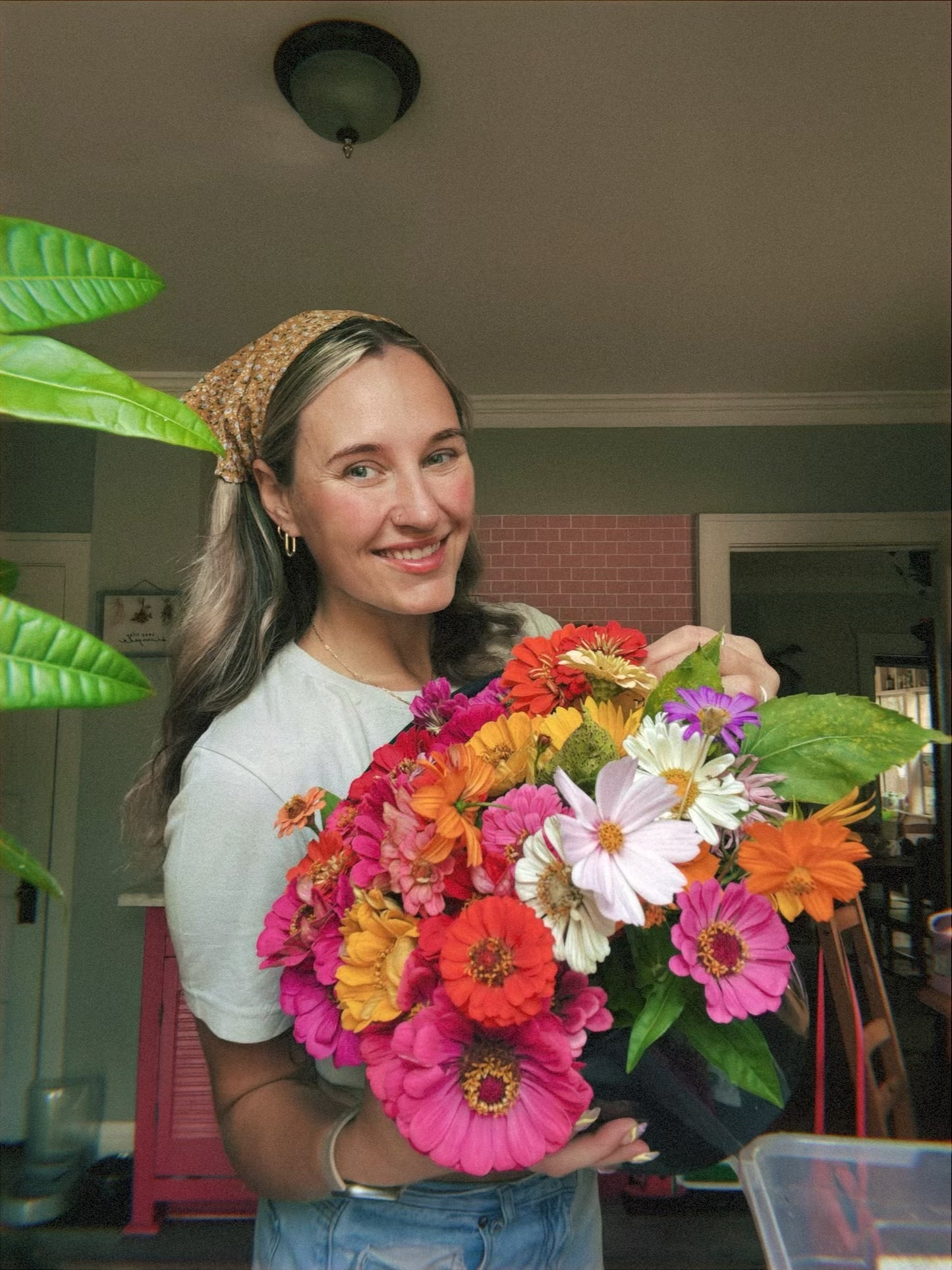 Zinnia Seeds & E-Guide