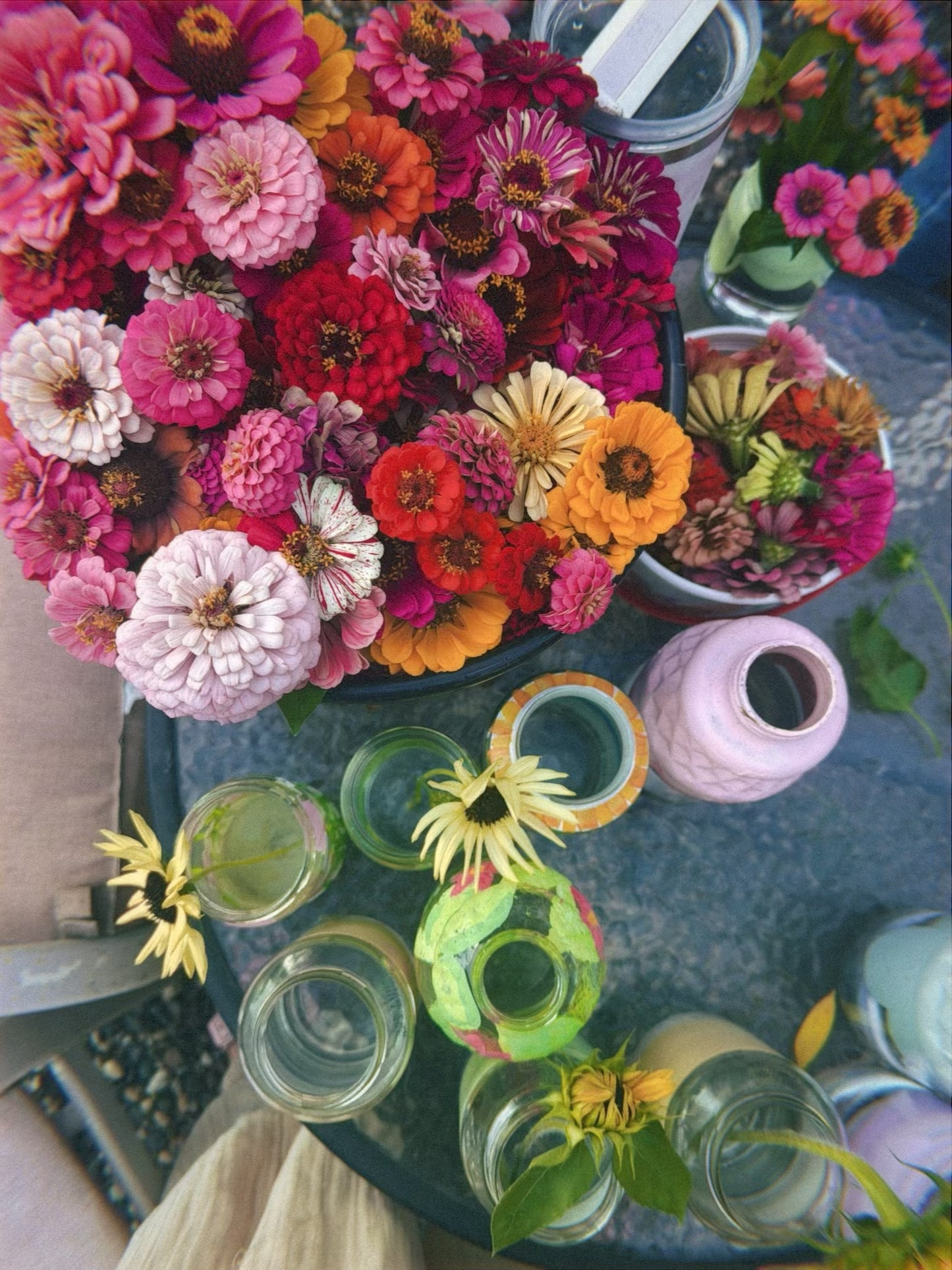 Zinnia Seeds & E-Guide