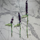 Beaded Lavender by Miss Mette Makes